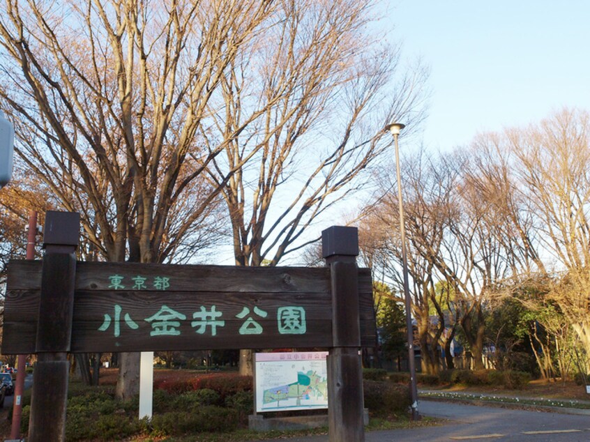 小金井公園(公園)まで10m 清水荘