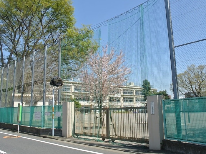 杉並区立松庵小学校(小学校)まで120m ストリートライフ