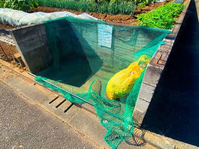 その他 ア－バングロ－ブ