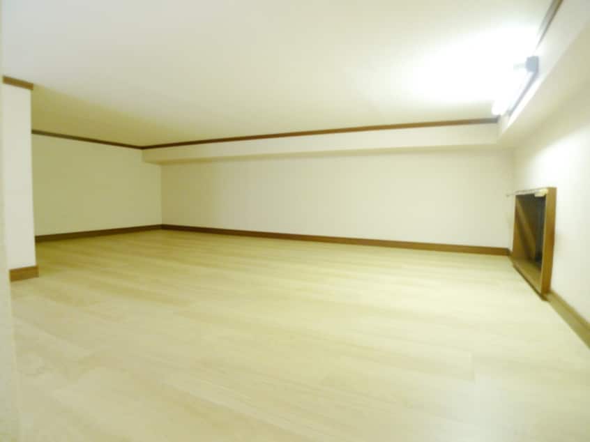 ロフト ハイネスコーダ