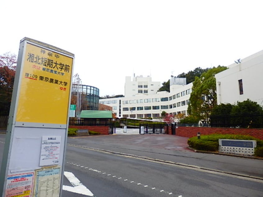 湘北短大(大学/短大/専門学校)まで1450m ジュネス厚木