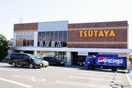 ＴＳＵＴＡＹＡ(ビデオ/DVD)まで740m アイビーハイム南林間