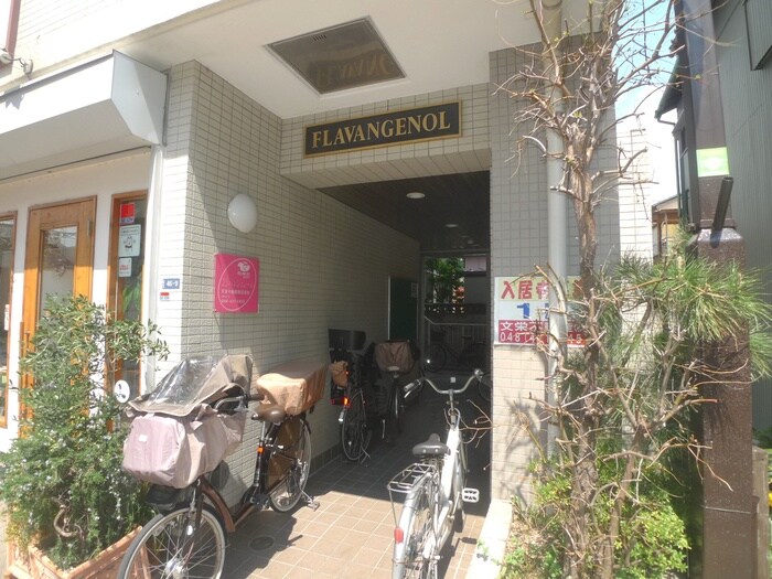 エントランス部分 フラバンジェノール