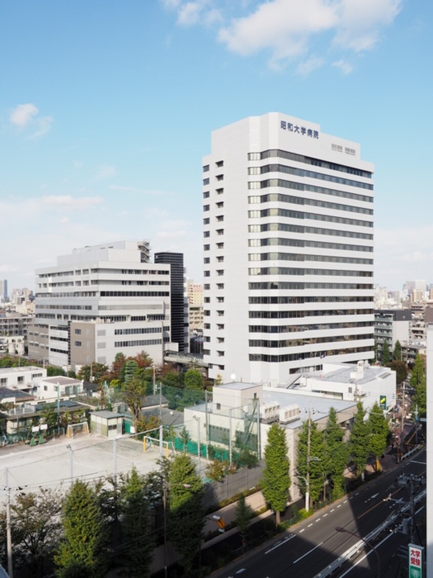 昭和大病院(病院)まで170m ハイツ旗の台（807）