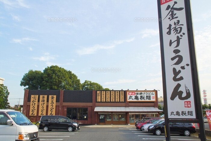 丸亀製麺 立川店(その他飲食（ファミレスなど）)まで300m 晴風荘