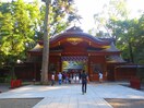 大國魂神社(公園)まで230m ベルメール