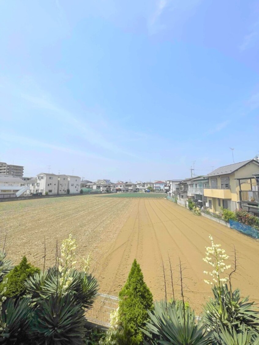 周辺環境 ロバート