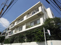 同型モデル