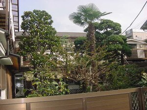 田端ハイツ