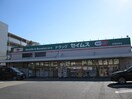 ドラッグセイムス　武蔵新城店(ドラッグストア)まで350m プロニティ２４Ｓ