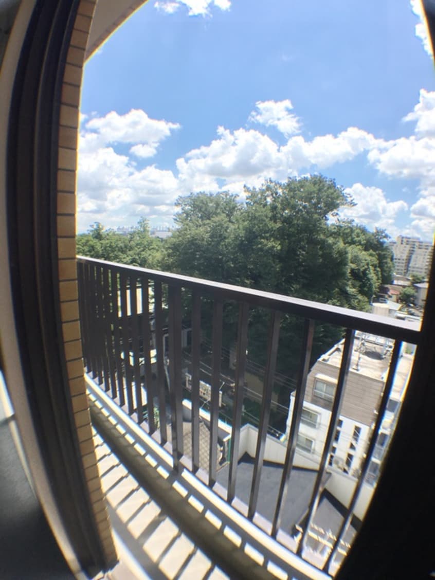 ベランダ・バルコニー ﾗｲｵﾝｽﾞﾏﾝｼｮﾝ府中第5（８０１）