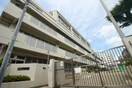 第三砂町小学校(小学校)まで350m NEXUS南砂町駅前