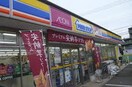 ミニストップ 小金井梶野町店(コンビニ)まで281m サンクレストコ－ト