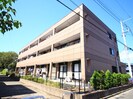コンテントの外観