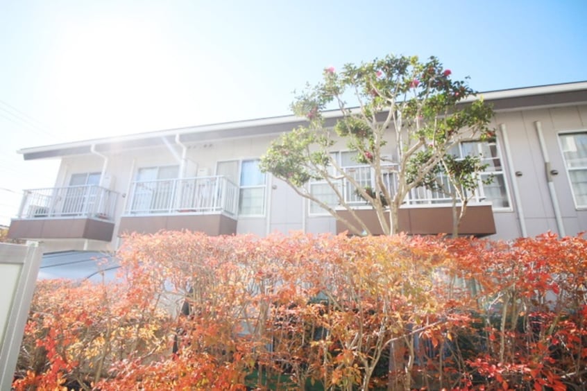 室内からの展望 グリーンベル