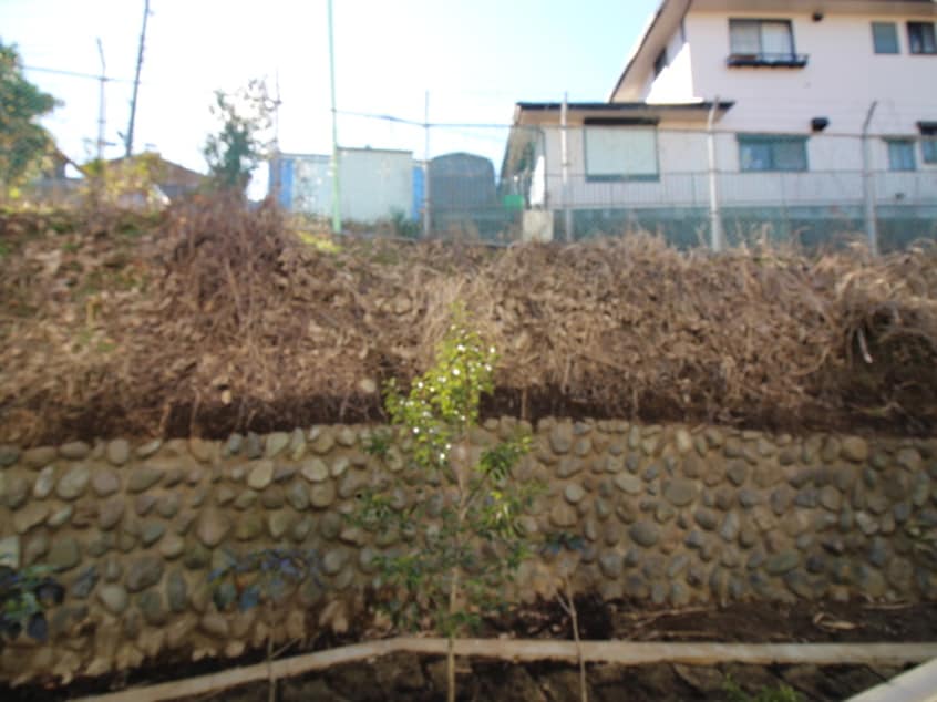 室内からの展望 リブリ・アルモ