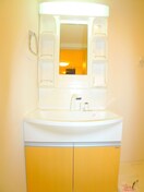 洗面 リズ・プラトリー