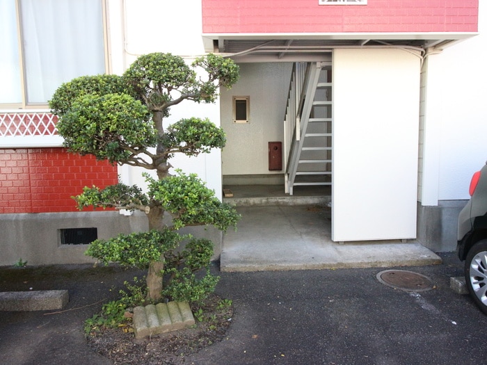 エントランス部分 わかばハイツ