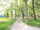 権平山公園(公園)まで130m 富士コーポ
