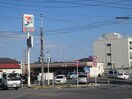 セブンイレブン都賀店(コンビニ)まで337m ステ－トリ－ハウスⅤ