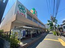 ライフ青葉しらとり台店(スーパー)まで741m Ｋ・Ｍ・Ｙビル