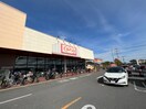 ダイソー　ベルク狭山店(100均)まで1015m Mark Duo新狭山