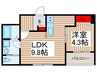 仮)ﾘｰﾌﾞﾙﾌｧｲﾝ新座大和田２号棟 1LDKの間取り