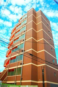 ベルグレードOM（801）