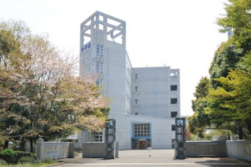 女子美術大学(大学/短大/専門学校)まで1300m エトス北里