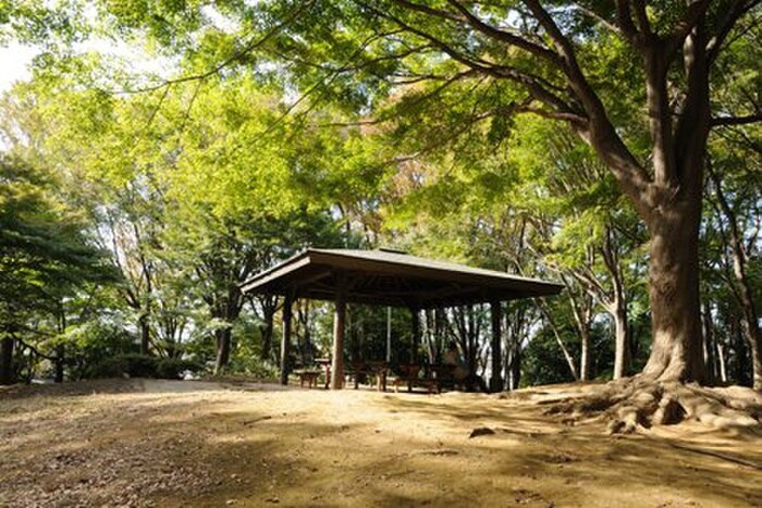 東大和市上仲原公園(公園)まで280m ポテトハウスＢ棟