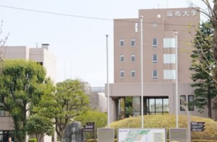 麻布大学(大学/短大/専門学校)まで407m フローラ矢部