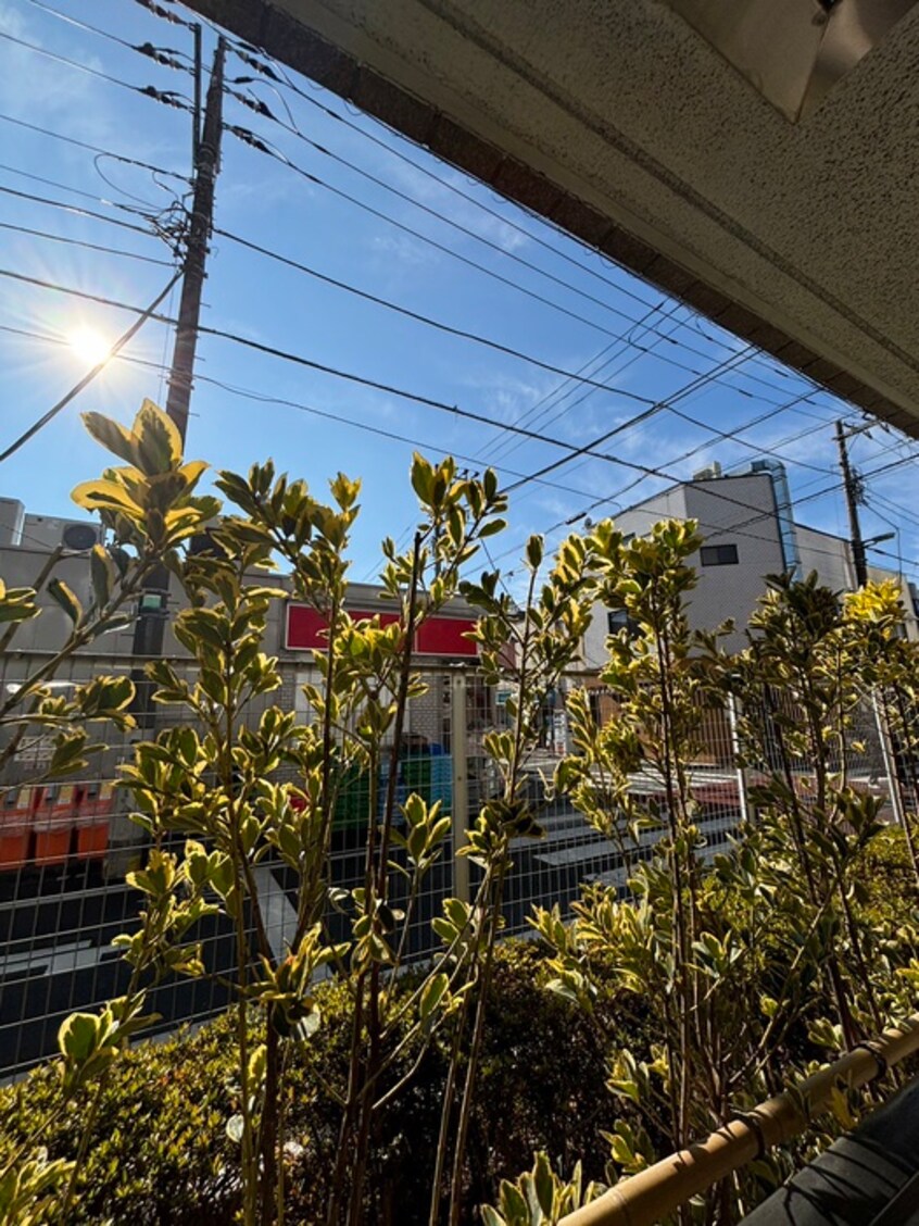 室内からの展望 ビクセル武蔵関