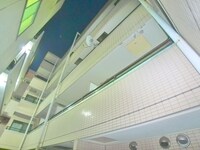 スカイコート金町第４（２０３）