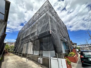 フェリーチェ（202）