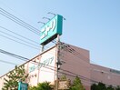 ニトリ(電気量販店/ホームセンター)まで850m ノバビュ－秦野