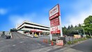 ユニディ狛江(電気量販店/ホームセンター)まで1280m シャムロック