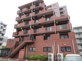 Molle相模大野