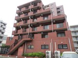 Molle相模大野