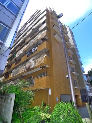 ライオンズプラザ亀戸(805)