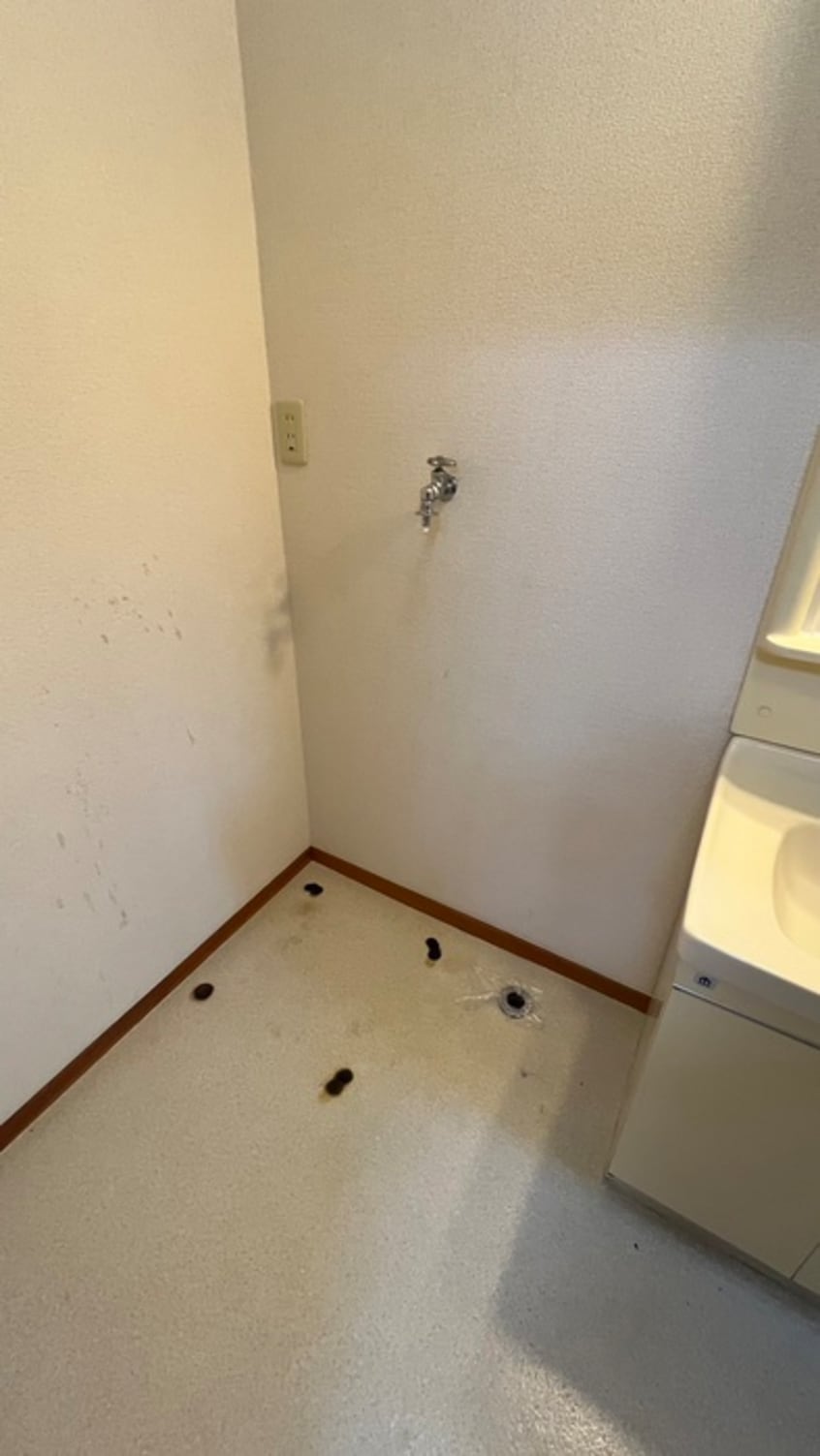 洗濯機置場 三本木ハイツ