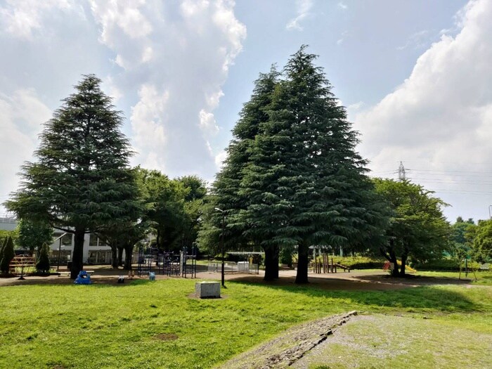玉川野毛町公園(公園)まで650m ＡＲＫ２１野毛マンション