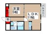 ライベスト関手屋 1LDKの間取り