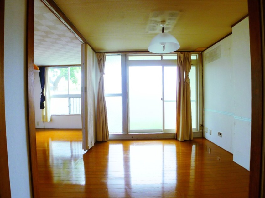 居室 小金原第３コーポラス（２０６）