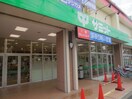 サミットストア 葛飾区役所前店(スーパー)まで505m Ｗｉｎｇ　Ｐｌａｚａ