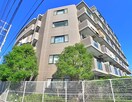 その他 藤和ｼﾃｨﾎｰﾑｽﾞ市川原木（105）