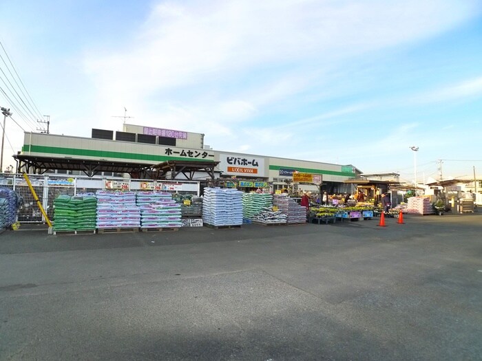 ビバホーム(電気量販店/ホームセンター)まで975m 時田ハイツ