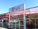 ロピア　渋沢店(スーパー)まで262m COMFORT YAMAHISA Ｂ