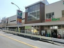 YorkMart　妙蓮寺店(スーパー)まで304m グランドゥ－ル横濱