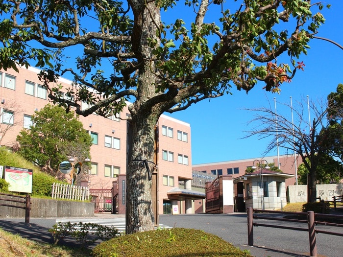 駒沢女子大学(大学/短大/専門学校)まで801m シャンルーネ