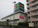 マルエツ(スーパー)まで684m GRACE VILLA 光